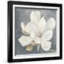 Serene Magnolia Gray-Julia Purinton-Framed Photographic Print