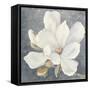 Serene Magnolia Gray-Julia Purinton-Framed Stretched Canvas