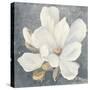 Serene Magnolia Gray-Julia Purinton-Stretched Canvas