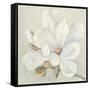 Serene Magnolia-Julia Purinton-Framed Stretched Canvas