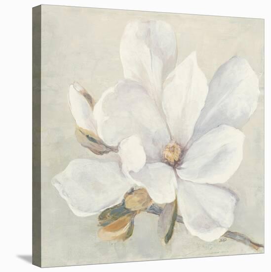 Serene Magnolia-Julia Purinton-Stretched Canvas