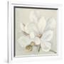 Serene Magnolia-Julia Purinton-Framed Art Print