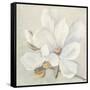 Serene Magnolia-Julia Purinton-Framed Stretched Canvas