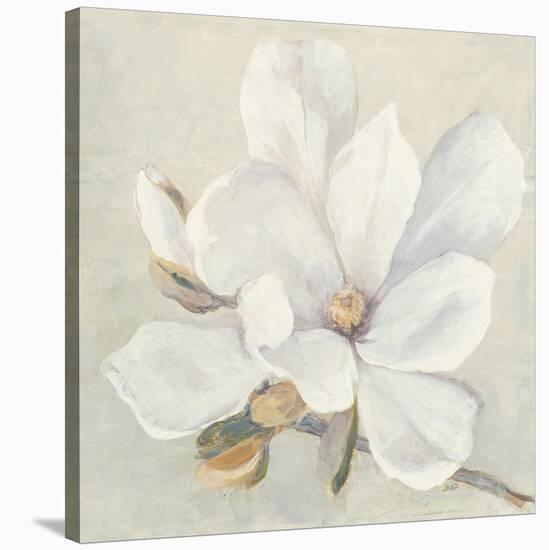 Serene Magnolia-Julia Purinton-Stretched Canvas