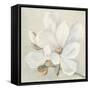 Serene Magnolia-Julia Purinton-Framed Stretched Canvas