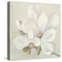 Serene Magnolia-Julia Purinton-Stretched Canvas