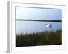 Serene Morning I-Alan Hausenflock-Framed Photographic Print