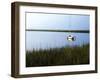 Serene Morning I-Alan Hausenflock-Framed Photographic Print