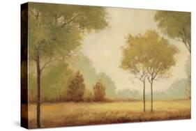 Serene Panorama-Jill Schultz McGannon-Stretched Canvas