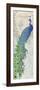 Serene Peacock-Piper Ballantyne-Framed Art Print