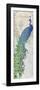 Serene Peacock-Piper Ballantyne-Framed Art Print