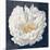 Serene Peony Navy-Julia Purinton-Mounted Art Print