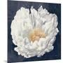 Serene Peony Navy-Julia Purinton-Mounted Art Print