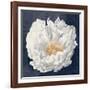 Serene Peony Navy-Julia Purinton-Framed Art Print