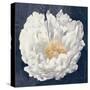 Serene Peony Navy-Julia Purinton-Stretched Canvas