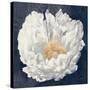 Serene Peony Navy-Julia Purinton-Stretched Canvas