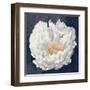 Serene Peony Navy-Julia Purinton-Framed Art Print