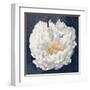 Serene Peony Navy-Julia Purinton-Framed Art Print