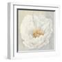 Serene Peony-Julia Purinton-Framed Art Print