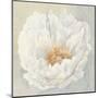 Serene Peony-Julia Purinton-Mounted Art Print