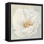 Serene Peony-Julia Purinton-Framed Stretched Canvas