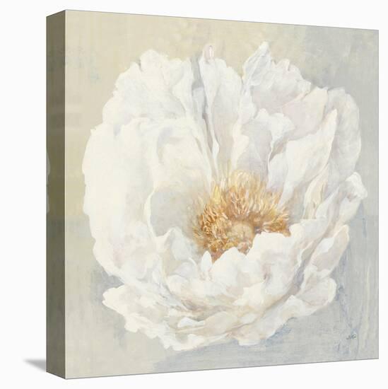 Serene Peony-Julia Purinton-Stretched Canvas