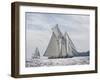 Serene Sail-Ben Wood-Framed Giclee Print