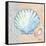 Serene Seashells I-Paul Brent-Framed Stretched Canvas