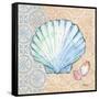 Serene Seashells I-Paul Brent-Framed Stretched Canvas