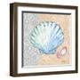 Serene Seashells I-Paul Brent-Framed Art Print