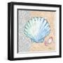 Serene Seashells I-Paul Brent-Framed Art Print