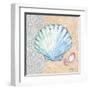 Serene Seashells I-Paul Brent-Framed Art Print