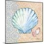 Serene Seashells I-Paul Brent-Mounted Art Print