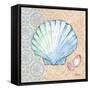 Serene Seashells I-Paul Brent-Framed Stretched Canvas