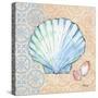 Serene Seashells I-Paul Brent-Stretched Canvas