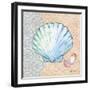 Serene Seashells I-Paul Brent-Framed Art Print