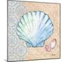 Serene Seashells I-Paul Brent-Mounted Art Print
