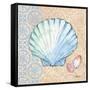 Serene Seashells I-Paul Brent-Framed Stretched Canvas