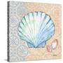 Serene Seashells I-Paul Brent-Stretched Canvas