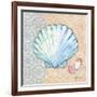 Serene Seashells I-Paul Brent-Framed Art Print