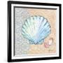 Serene Seashells I-Paul Brent-Framed Art Print