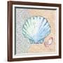 Serene Seashells I-Paul Brent-Framed Art Print