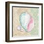 Serene Seashells II-Paul Brent-Framed Art Print