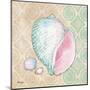 Serene Seashells II-Paul Brent-Mounted Art Print