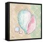 Serene Seashells II-Paul Brent-Framed Stretched Canvas