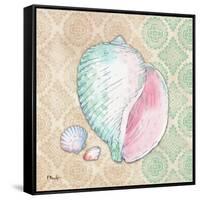 Serene Seashells II-Paul Brent-Framed Stretched Canvas