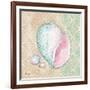 Serene Seashells II-Paul Brent-Framed Art Print