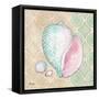 Serene Seashells II-Paul Brent-Framed Stretched Canvas