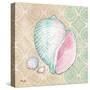 Serene Seashells II-Paul Brent-Stretched Canvas