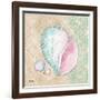 Serene Seashells II-Paul Brent-Framed Art Print